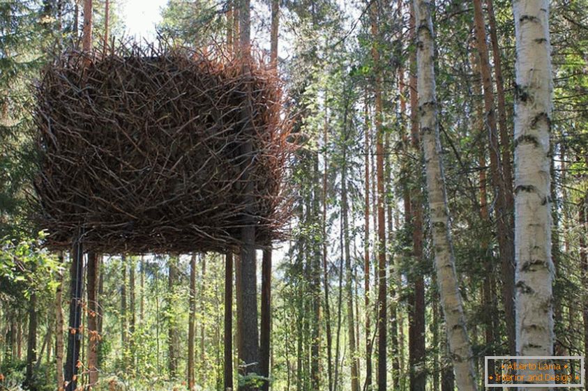 Bird's Nest Tree House (Švica)