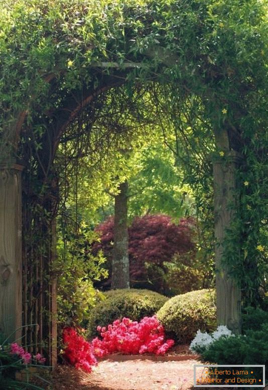 Arch z rastlinami v vrtni zasnovi