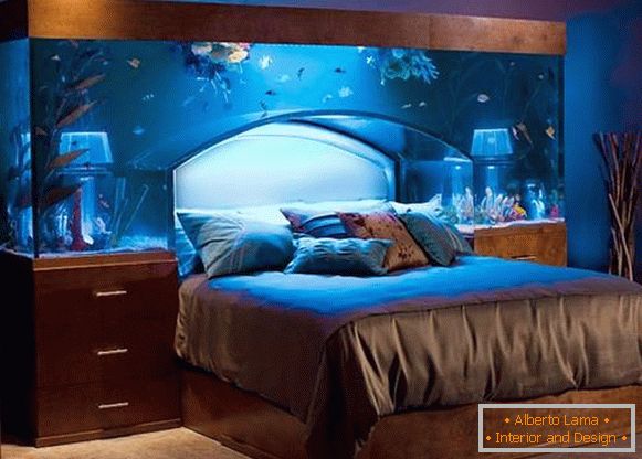 akvarij-kot-glave postelje