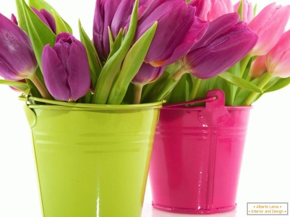 Tulipani v barvnih vedrih