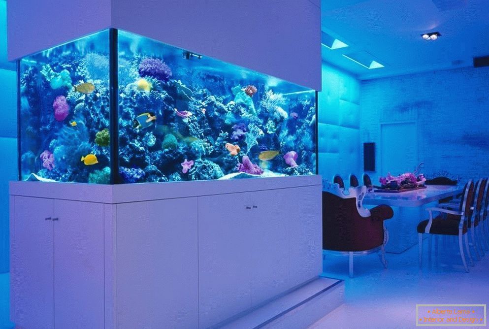 Morski akvarij z uporabo živih koral 