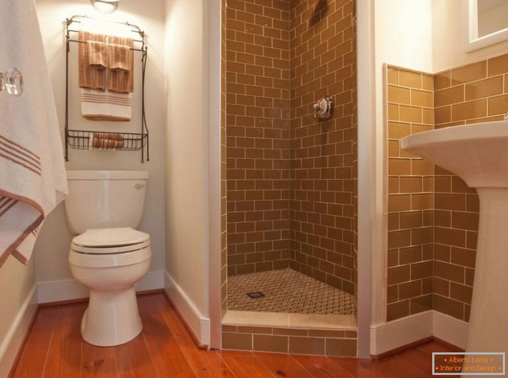 Kombinirana kopalnica v enosobnem apartmaju p-44t