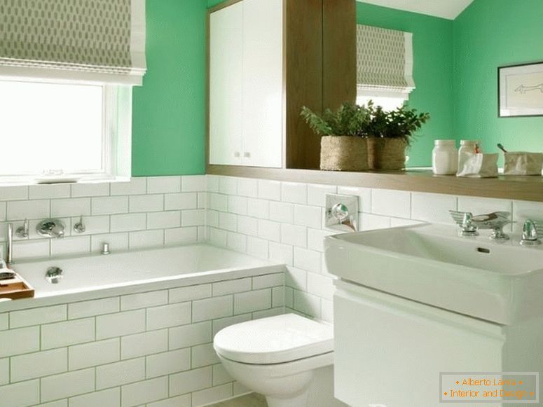 Bela zelena kombinirana kopalnica