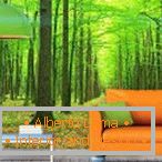 Oranžna kavča na zelenem gozdnem ozadju