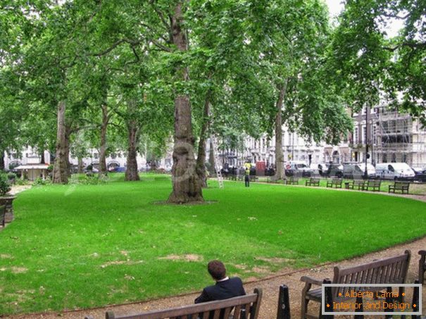 Klopi v parku v Londonu