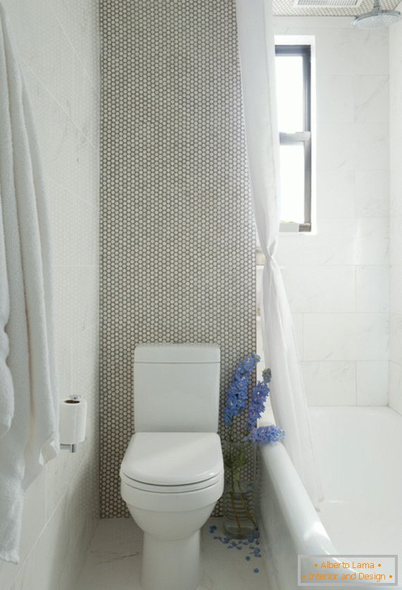 Bela WC školjka in kopalna kad v marmorni sobi