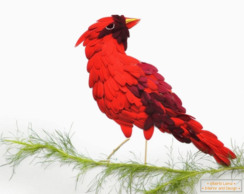 Bird of Gerbera latice, umetnik Hong Yi