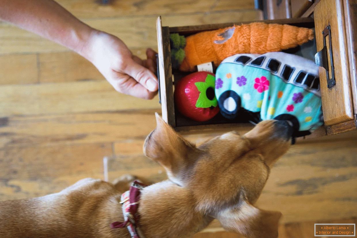 Škatla z igračami za pse