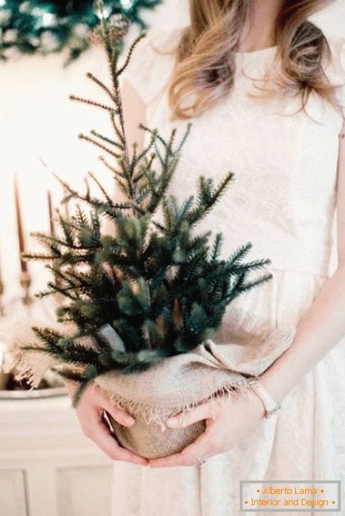 Božično drevo v loncu
