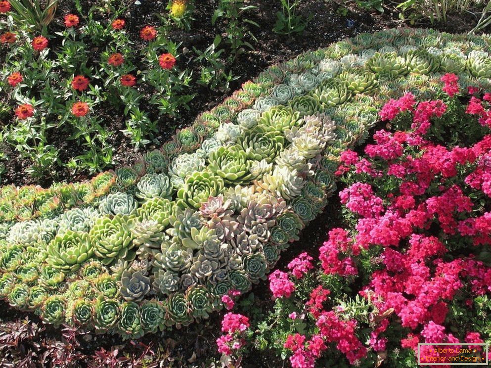 Dekoracija cvetličnega vrta