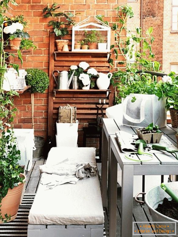 Balkon z notranjimi rastlinami