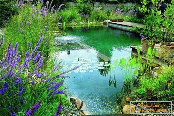 Lepa fotografija bazenov - ribnik za kopanje na dvorišču