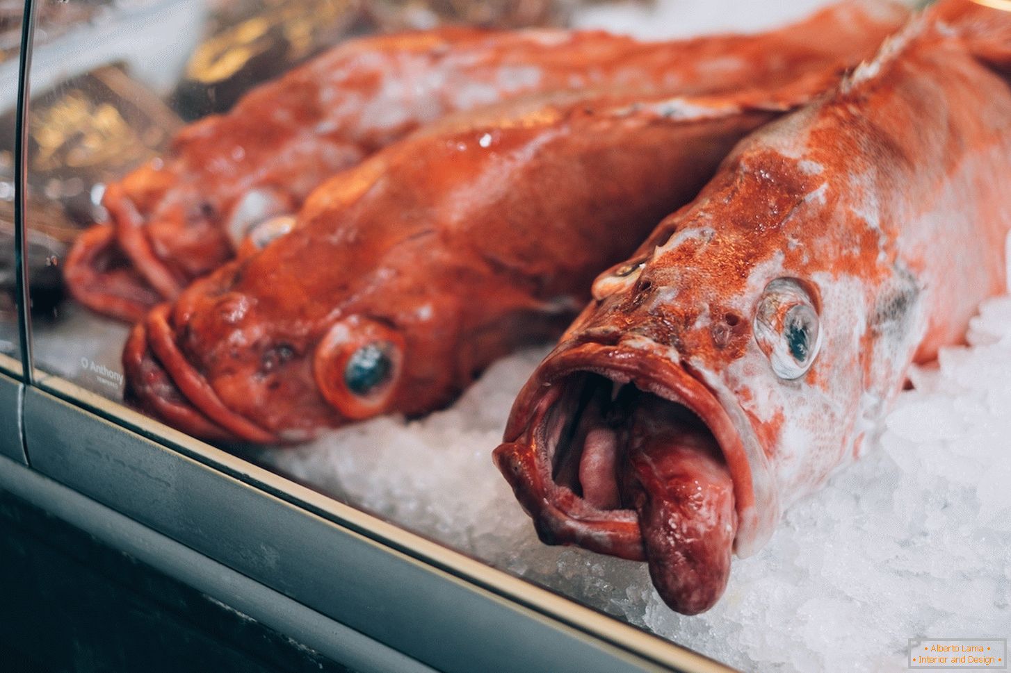 Мороженная рыба на рынке в Danesе