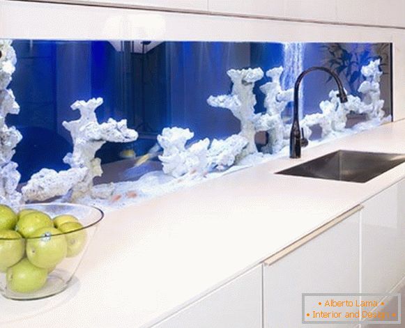 Akvarij s koralami v kuhinji