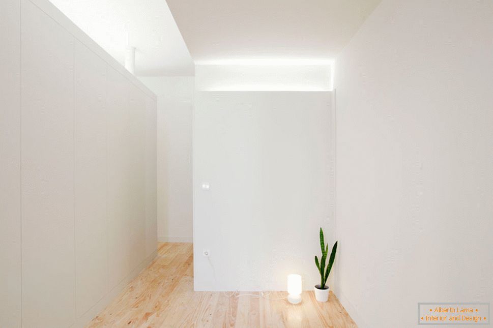 Notranjost majhnega studio apartmaja v svetlih barvah - одинокий цветок