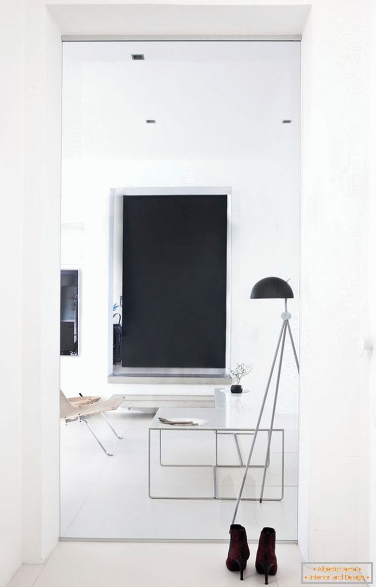 Zasnova majhnega apartmaja v črno-beli barvi - фото 7