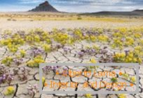 Puščave v Utahu, eksplodirane v barvah