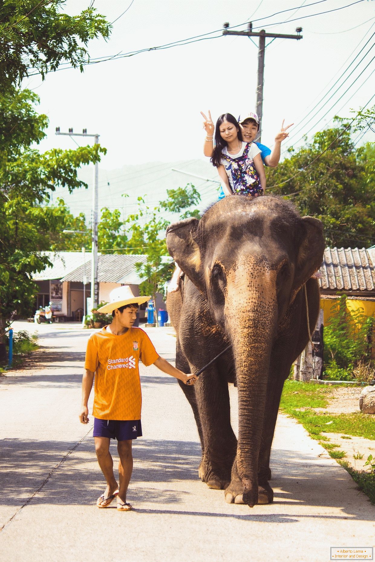 Potovanje po slonu