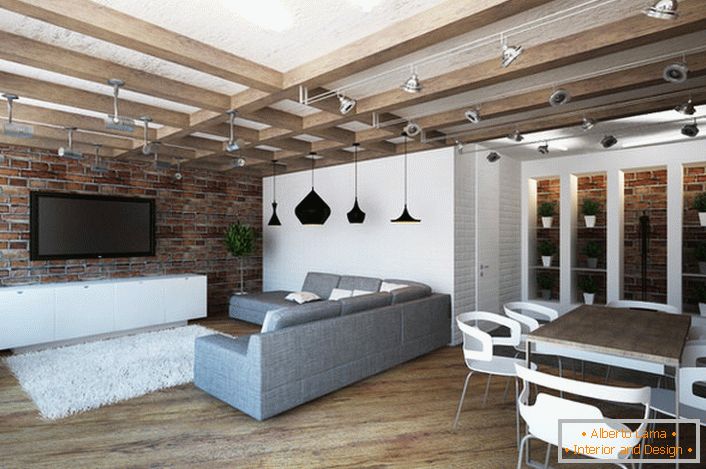 Zasnova studia stanovanja v slogu lofta je opazna po svoji praktičnosti. Zaradi minimalnega pohištva je prostor prostoren in svetel.