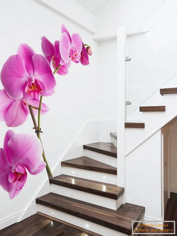 Fotografije orhideje na stopnicah