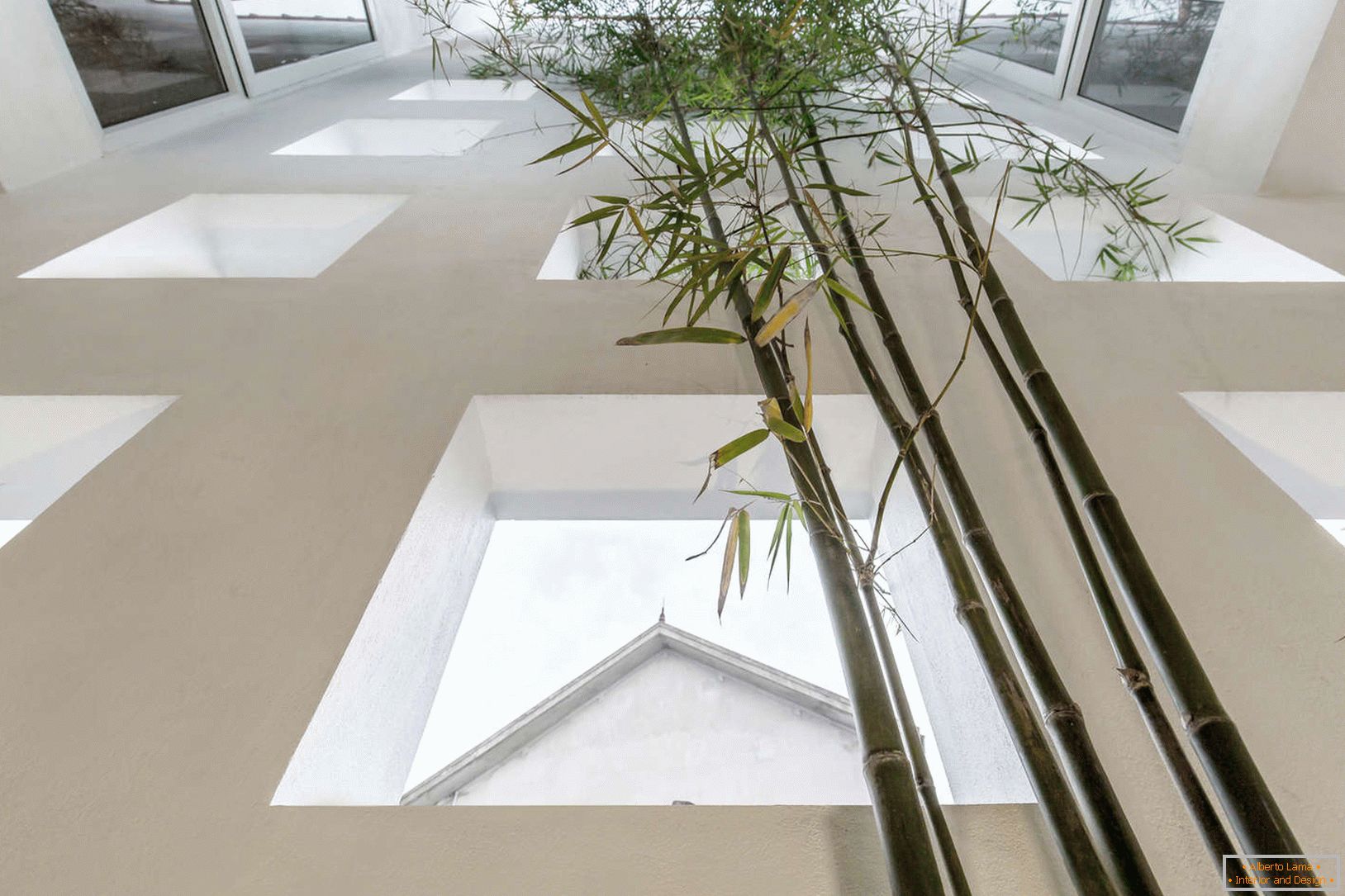 Bambus v ozki betonski hiši
