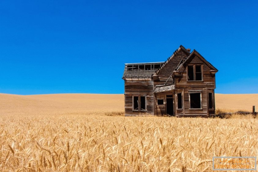 Stara hiša v pšeničnem polju