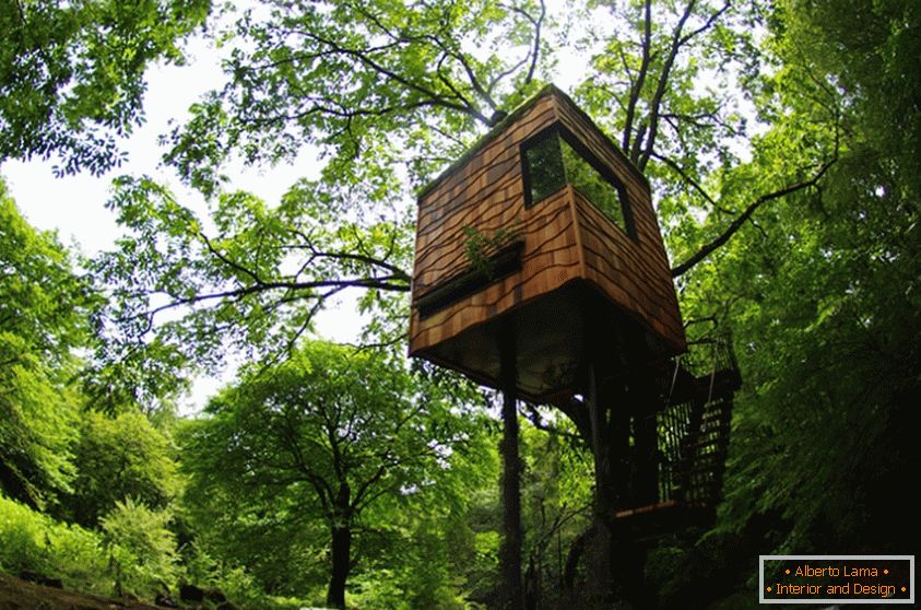 Treehouse, avtor Takashi Kobayashi (Japonska)