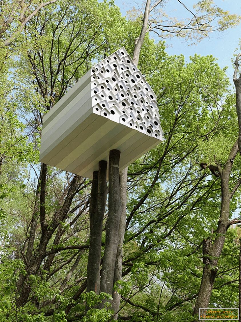 Treehouse za ptice in ljudi (Japonska)