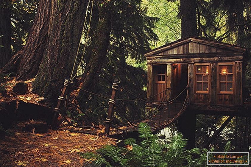 Treehouse v Seattlu (Seattle, ZDA)