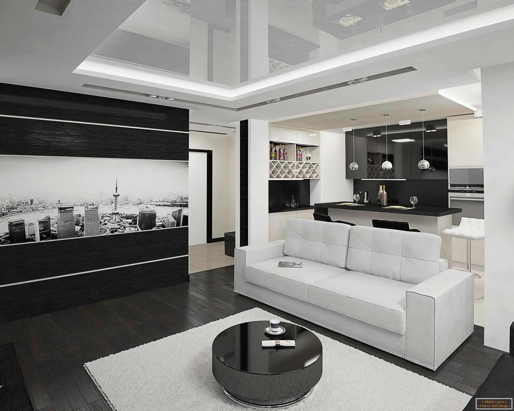 Črno-bela kuhinja in dnevna soba notranjost na 20 kvadratnih metrov