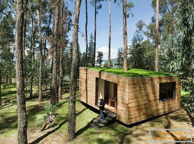 Mala hiša v gozdu s streho mahove