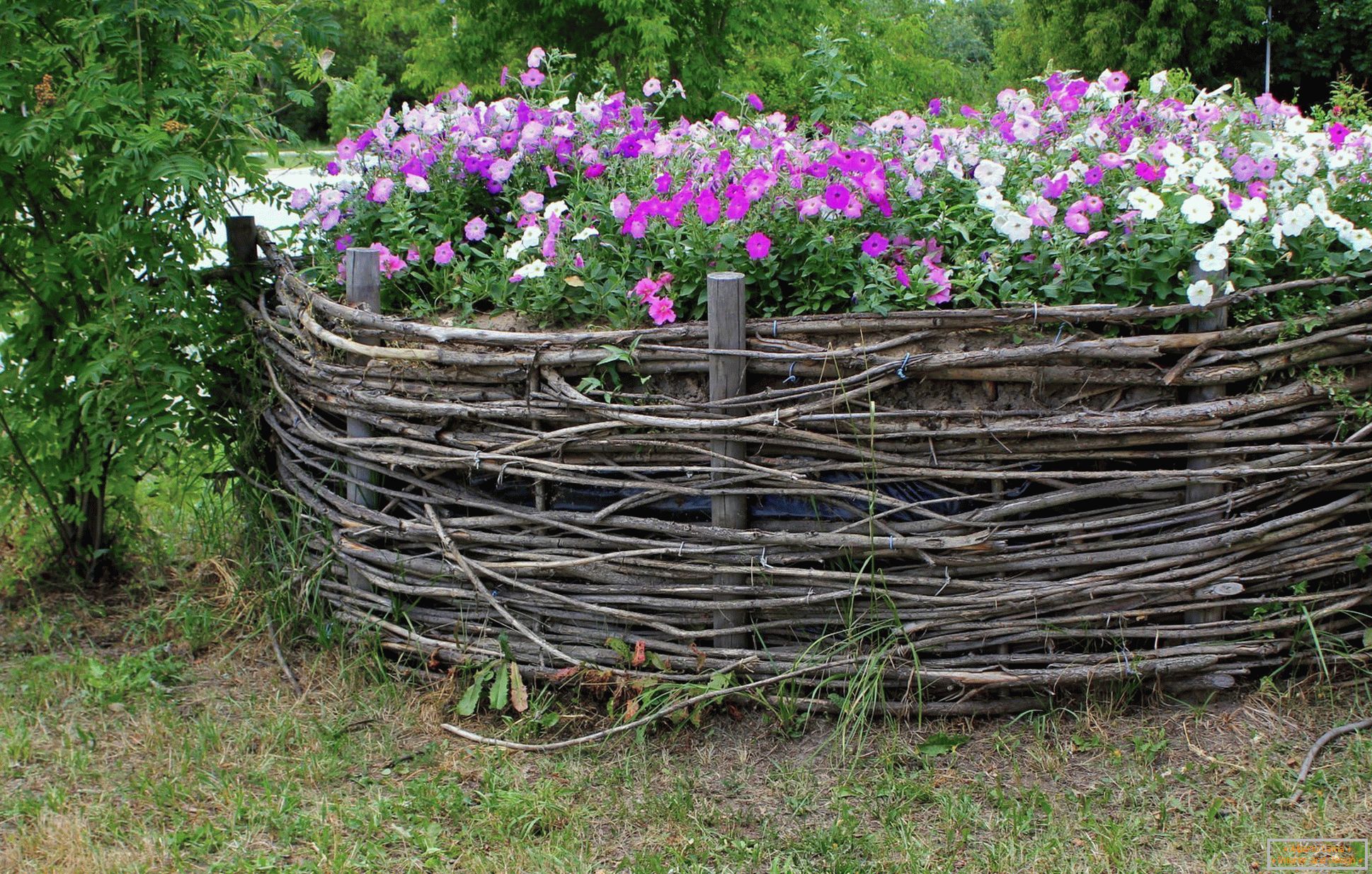 Wicker ograja za cvetlično posteljo