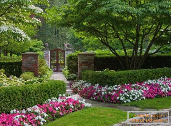 Cvetje na dvorišču zasebne hiše - najboljše sodobne ideje 2017