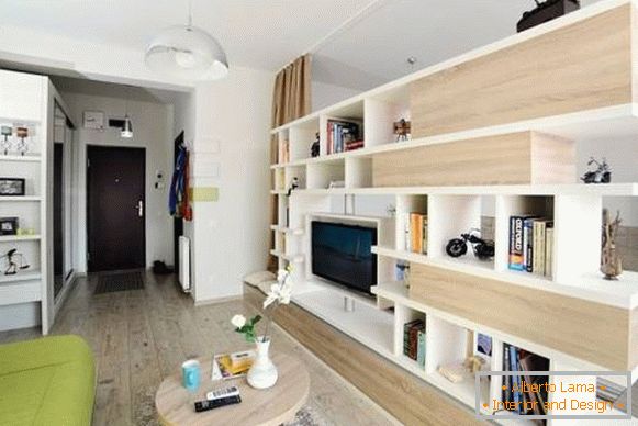 studio apartma-40-kvadratni meter-prihozhaya-foto
