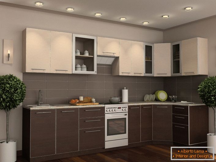Kuhinja set wenge v kombinaciji z ustrezno izbranimi dekorativnimi elementi naredi prostor eleganten in eleganten.