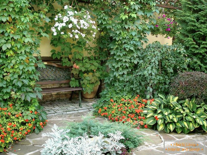 Raznolikost rastlinskega sveta na dvorišču kaže na prisotnost mediteranskega sloga. Cvetoče rastline, navadne divje grozdje, naredijo vzdušje romantično.