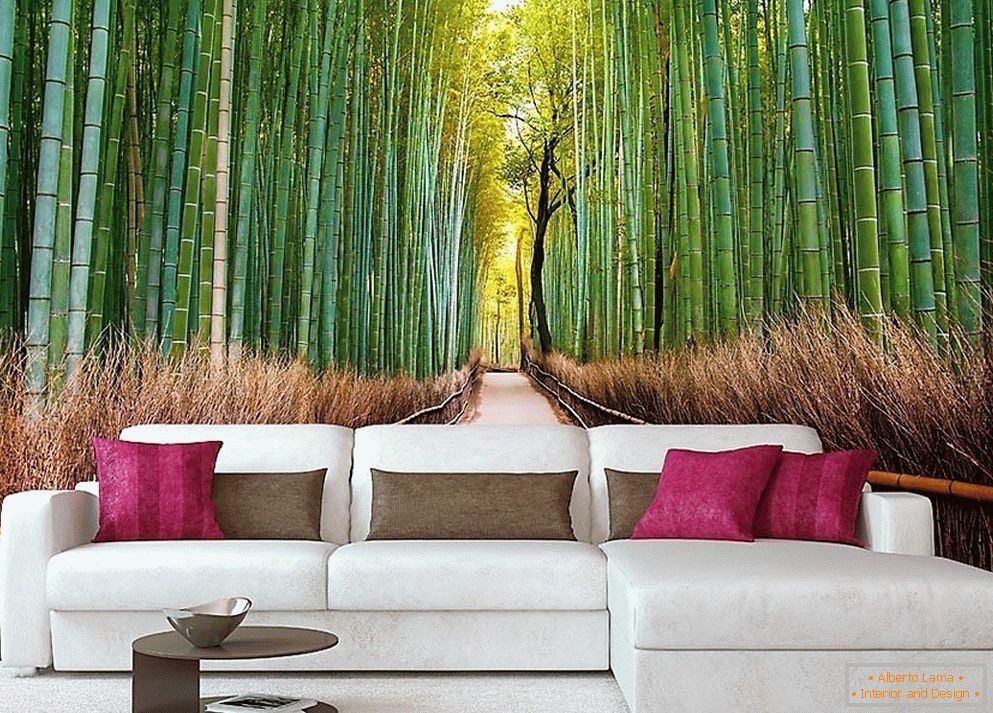 Bambus Grove