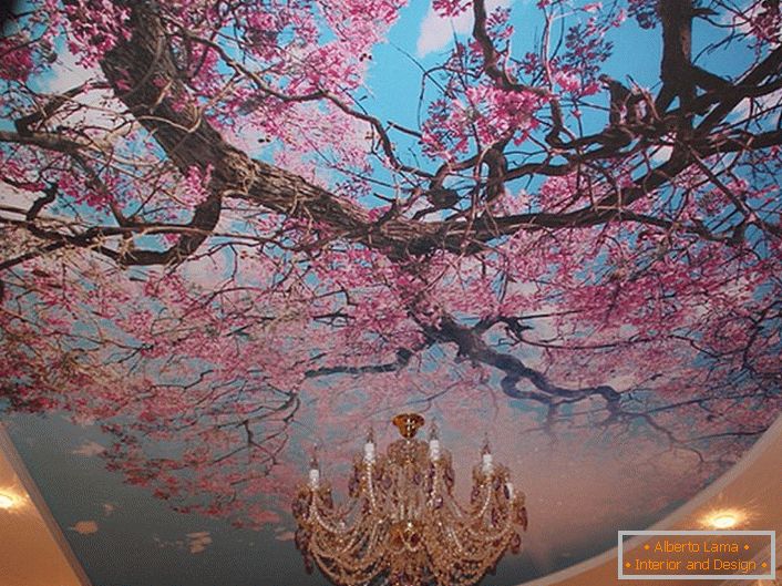 Cvetoče češnje pogosto uporabljajo sodobni oblikovalci za okraševanje stropov. Dejanska rešitev za registracijo sobe za goste ali dvorane.