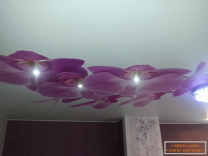 Nežne orhideje razkošno izgledajo na stropnih stropih. Pri zasnovi sodobnega oblikovanja se uporablja tiskanje fotografij.