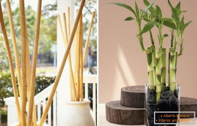 Bambus kot dekoracija