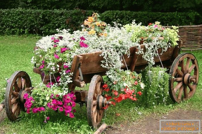Kot pripomoček za izdelavo cvetlične postelje je bil uporabljen star, obnovljen voziček. Zanimiva rešitev za dekor na dvorišču hiše. 