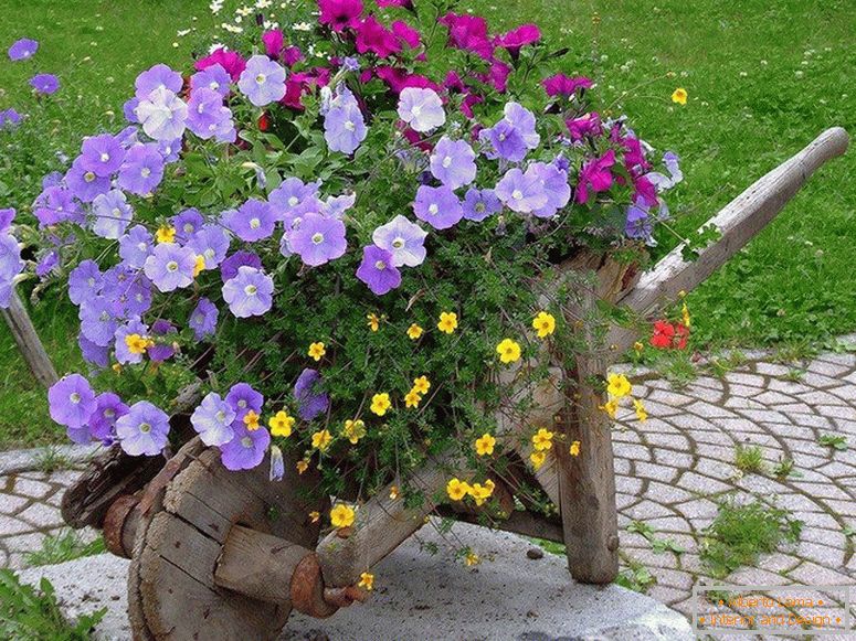 Dekorativna samokolnica s cvetjem