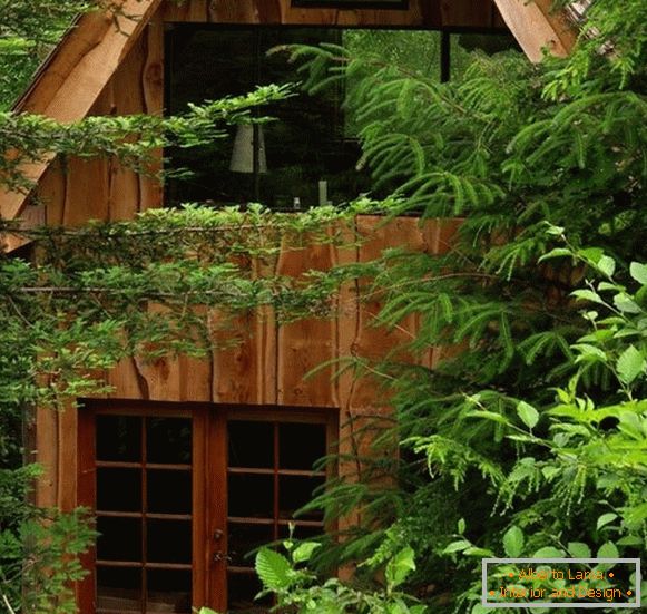 Mala gozdna hiša (fotografija), США