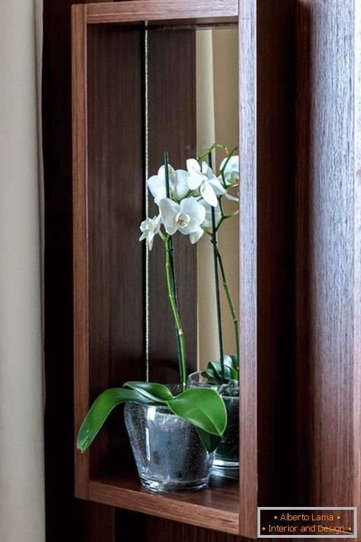Orhideja v kuhinji z učinkom optične iluzije