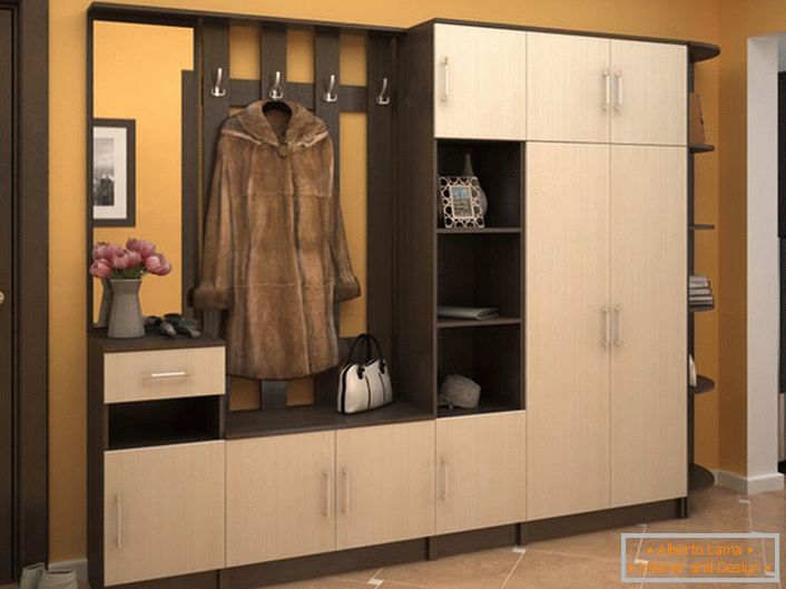 Prostorna modularna stena za hodnik vam omogoča, da funkcionalno organizirate prostor. Privlačen videz pohištva bo okrasil notranjost v katerem koli slogu.