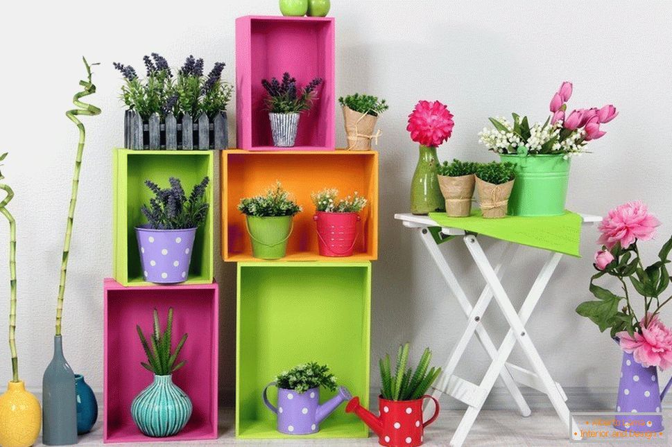 Vaze za otroke z začinjenimi rastlinami