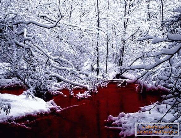 Krvavo rdeče jezero v Kanadi