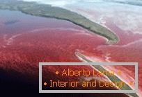 Nenavadno rdeče jezero v severni Kanadi