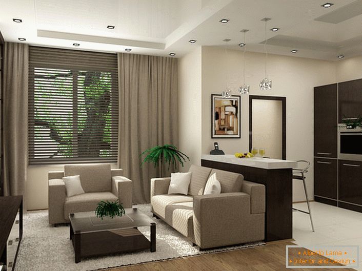 Udobno studio apartma v modernem visokotehnološkem slogu.