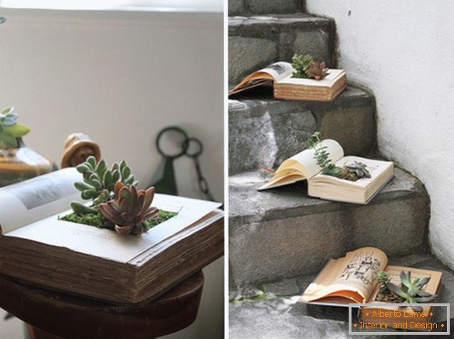 Hišne rastline v knjigi